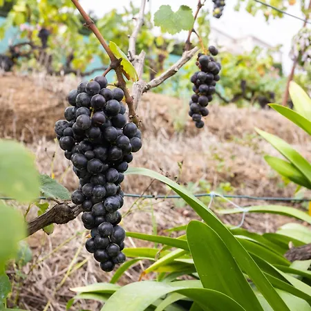 Holiday home Home2book Serene Retreat Isabel, Jacuzzi & Garden